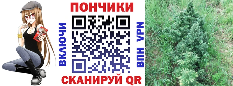 Где купить наркоту Балабаново OMG ссылки  Кокаин  Меф  Амфетамин  Конопля  Alpha-PVP 