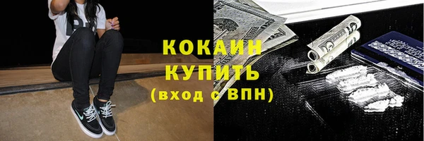 тгк Алексин